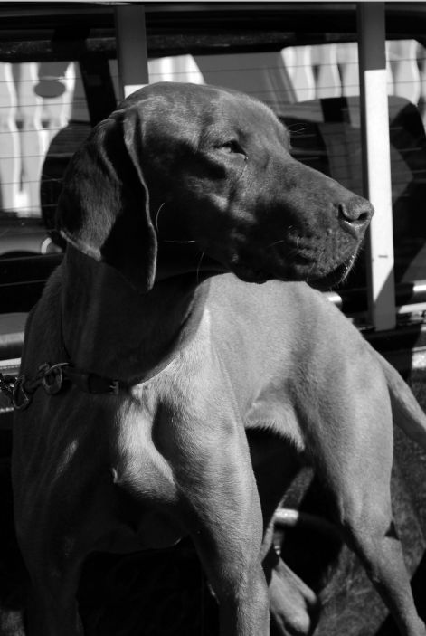 dsc_0051.jpg